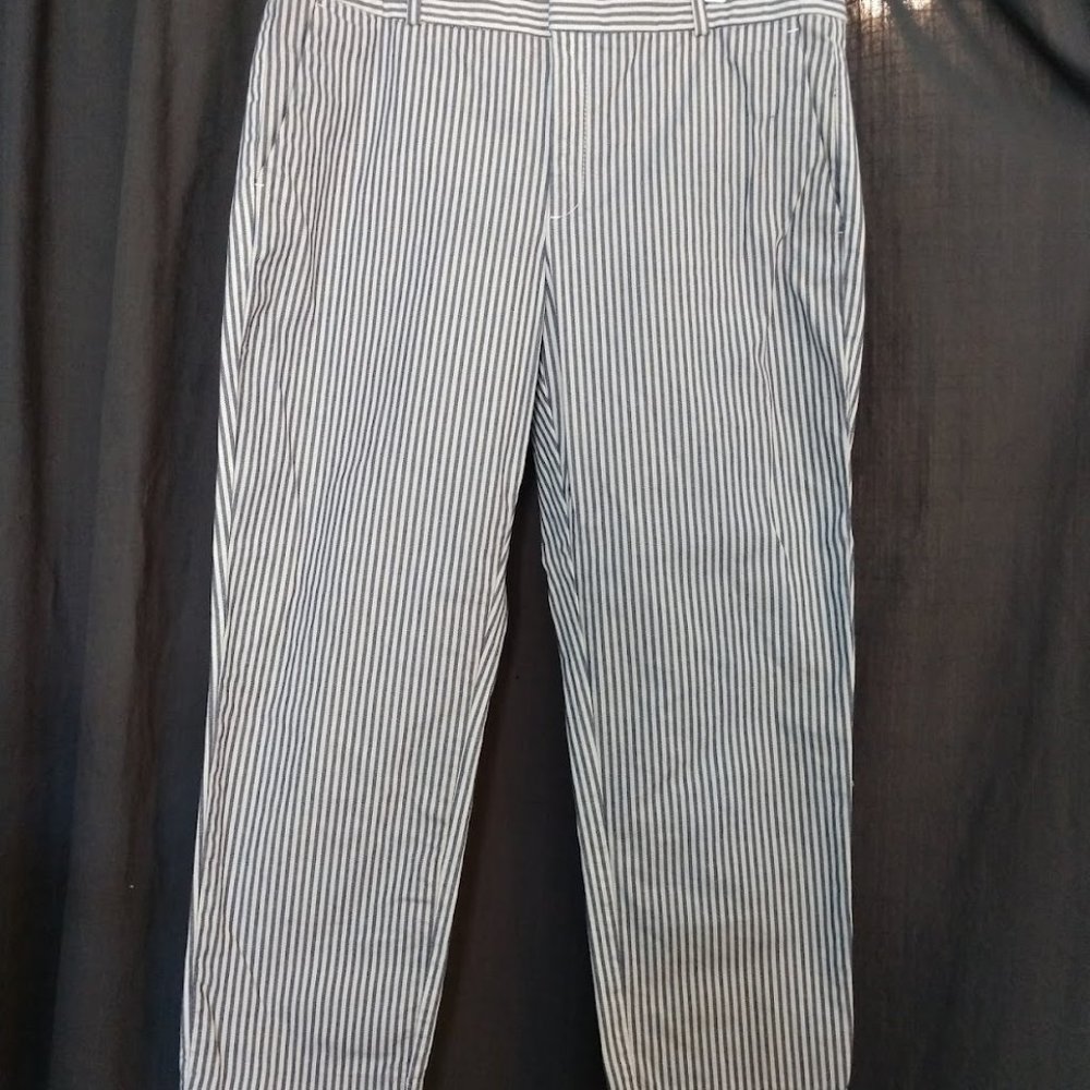 Banana Republic | Pinstriped Grey and White Trousers